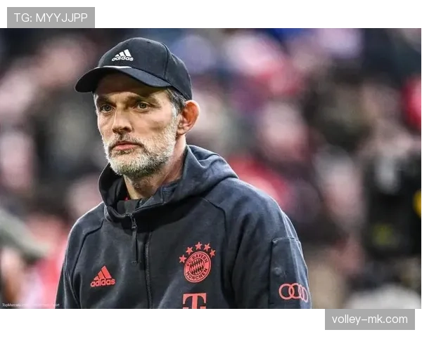 凯恩能否改写无冠命运：关键战表现与体系适配分析