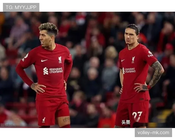 努涅斯 vs 菲尔米诺：战术角色与体系适配差异