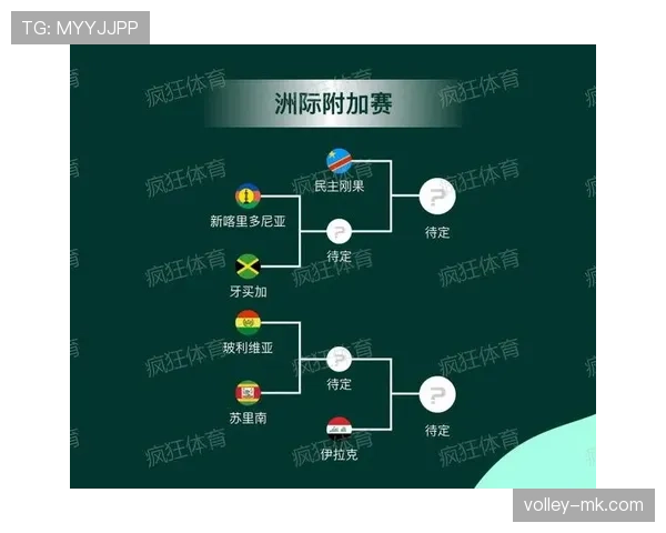 民主刚果冲击2026世界杯预选赛赛程分析与晋级前景预测