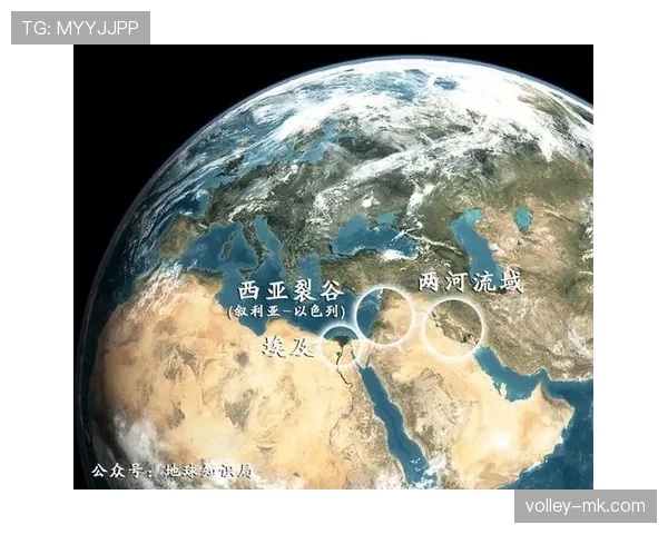 埃及对伊朗战报：VAR改判影响最终出线格局
